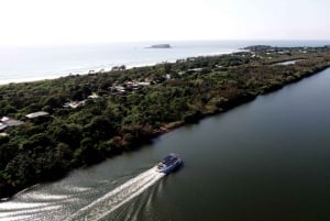 Tweed Heads: Rejs po rzece Tweed i lesie deszczowym z lunchem