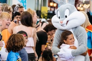 Village Roadshow Multi Park -pääsylippu