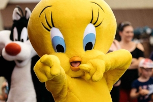 Village Roadshow Multi Park -pääsylippu