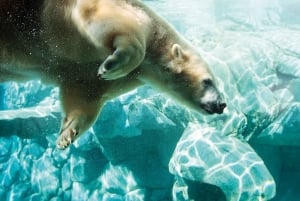 Village Roadshow Multi Park -pääsylippu