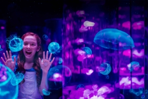 Village Roadshow Multi Park -pääsylippu