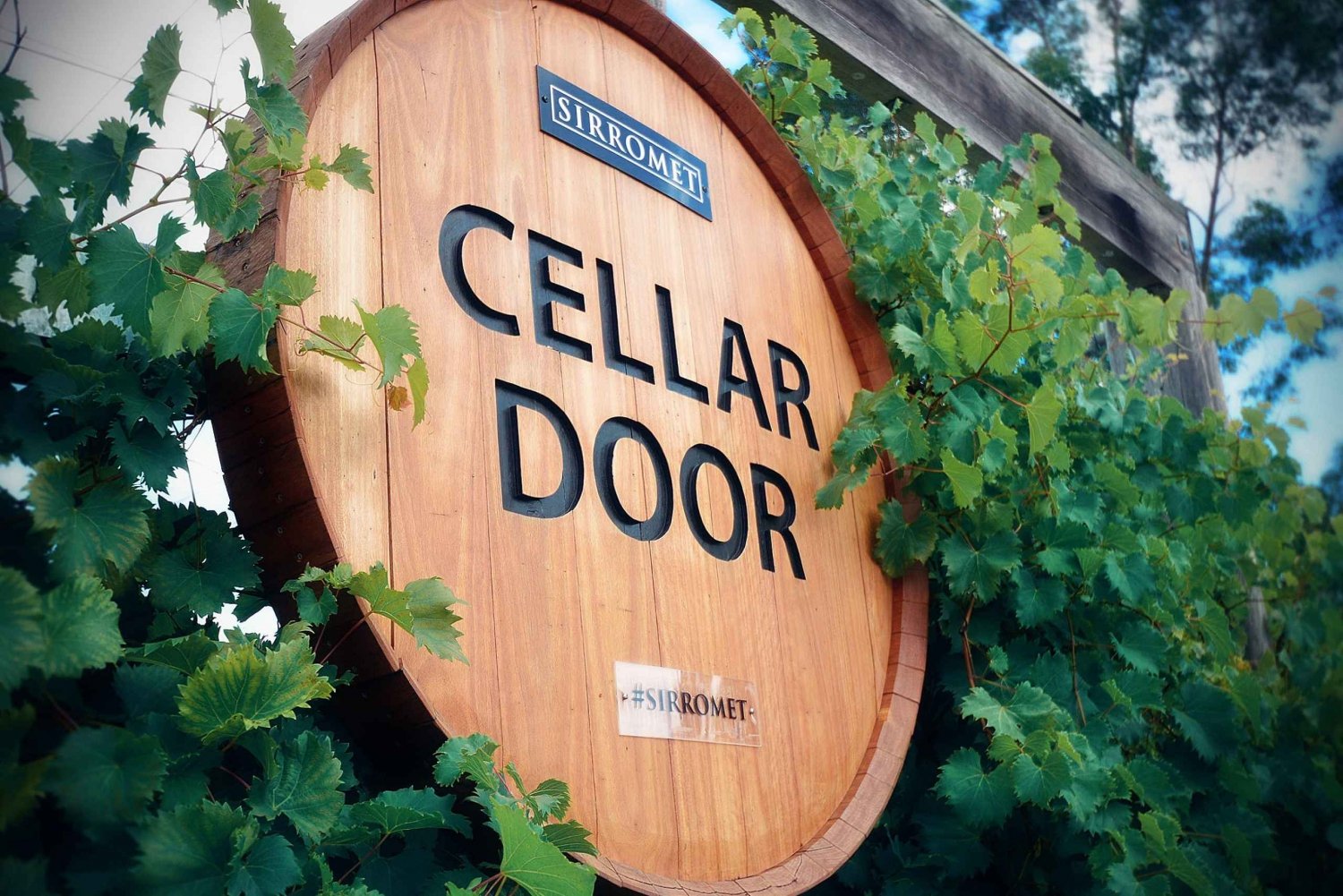 Winery Tour and Tasting