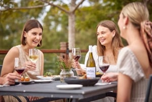Rundtur och vinprovning på vingård med 3-rätters lunch på den toskanska terrassen