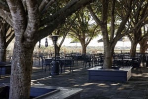 Rundvisning og vinsmagning på vingården med 3-retters frokost på den toscanske terrasse