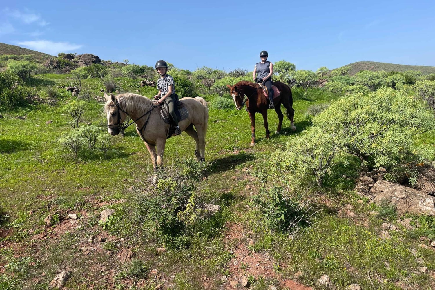 2 hours Green Mountains Horse Riding Tour