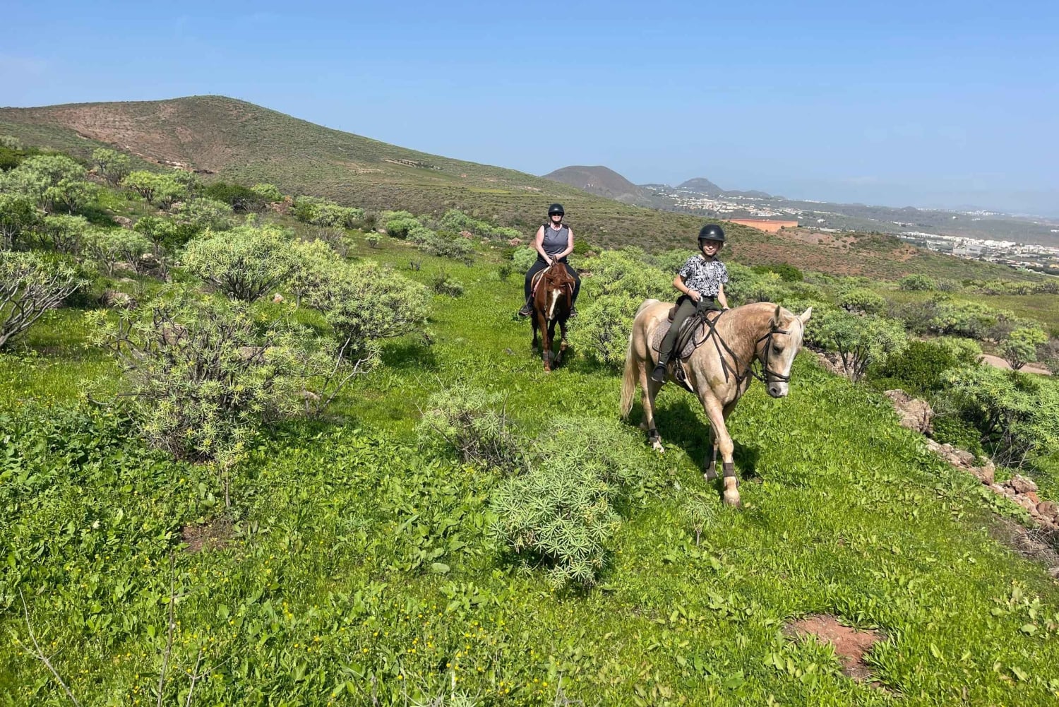 2 hours Green Mountains Horse Riding Tour