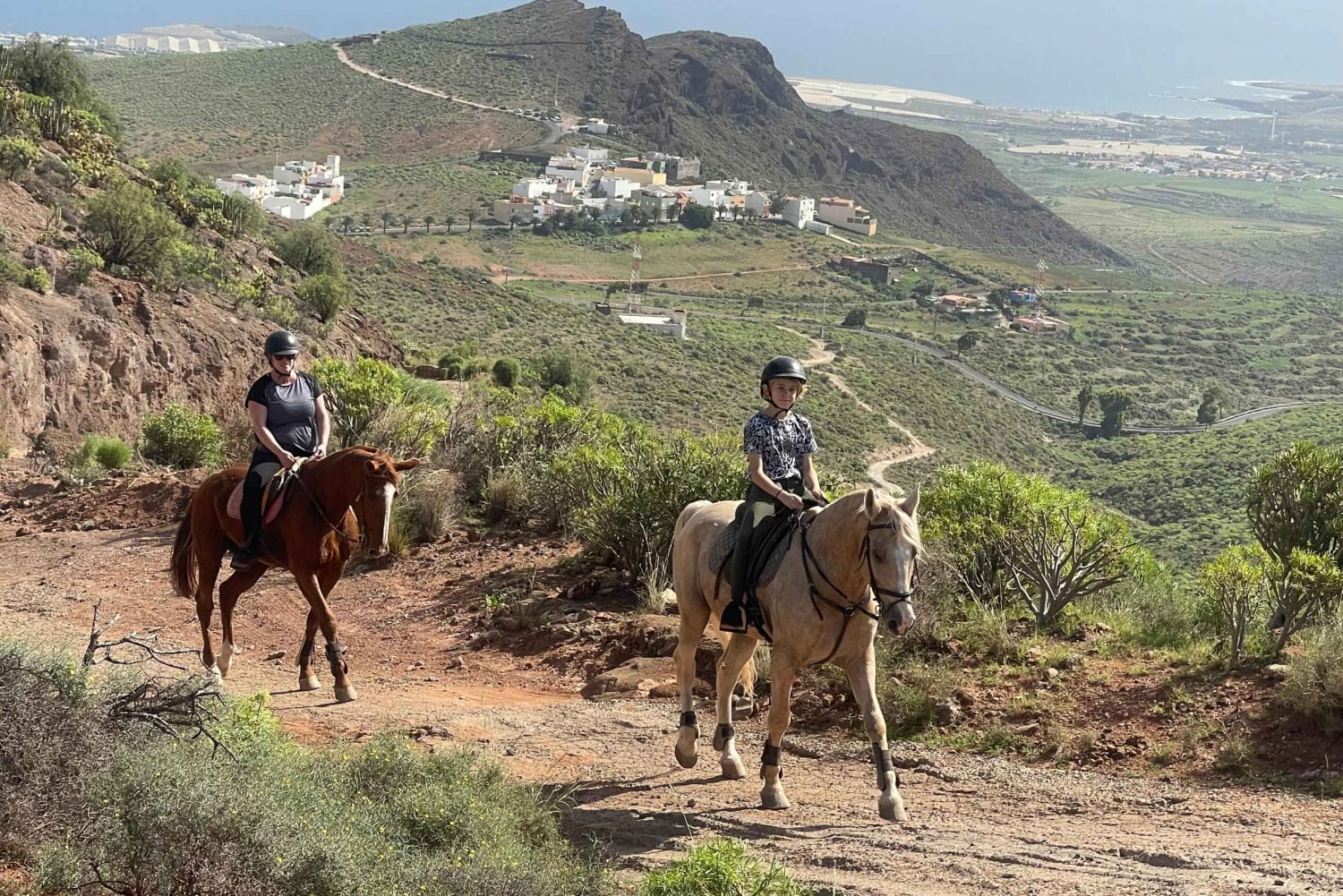 2 hours Green Mountains Horse Riding Tour