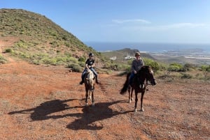 2 hours Green Mountains Horse Riding Tour