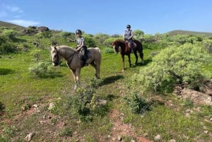 2 hours Green Mountains Horse Riding Tour