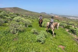2 hours Green Mountains Horse Riding Tour