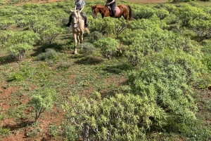 2 hours Green Mountains Horse Riding Tour