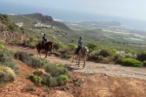 2 hours Green Mountains Horse Riding Tour