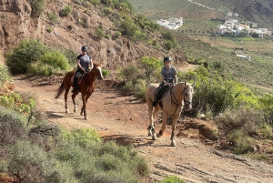 2 hours Green Mountains Horse Riding Tour