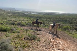 2 hours Green Mountains Horse Riding Tour