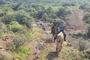 2 hours Green Mountains Horse Riding Tour