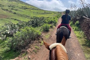 2 hours Green Mountains Horse Riding Tour