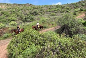 2 hours Green Mountains Horse Riding Tour