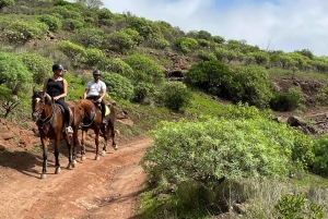2 hours Green Mountains Horse Riding Tour