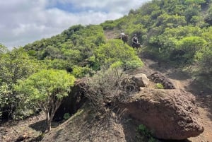 2 hours Green Mountains Horse Riding Tour