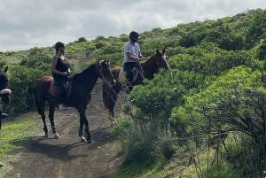 2 hours Green Mountains Horse Riding Tour