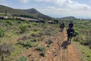 2 hours Green Mountains Horse Riding Tour