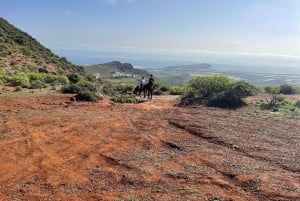 2 hours Green Mountains Horse Riding Tour