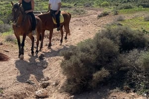 2 hours Green Mountains Horse Riding Tour