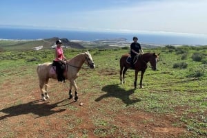 2 hours Green Mountains Horse Riding Tour