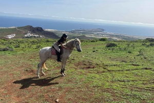 2 hours Green Mountains Horse Riding Tour