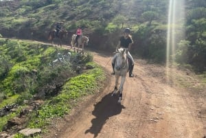 2 hours Green Mountains Horse Riding Tour