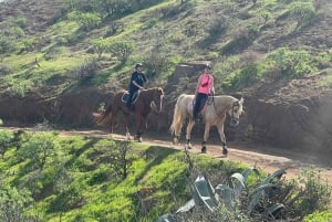 2 hours Green Mountains Horse Riding Tour
