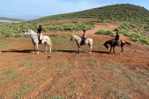 2 hours Green Mountains Horse Riding Tour