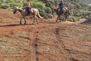 2 hours Green Mountains Horse Riding Tour