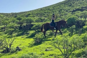 2 hours Green Mountains Horse Riding Tour