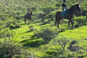 2 hours Green Mountains Horse Riding Tour