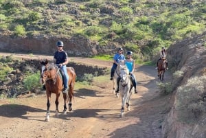 2 hours Green Mountains Horse Riding Tour