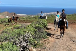 2 hours Green Mountains Horse Riding Tour