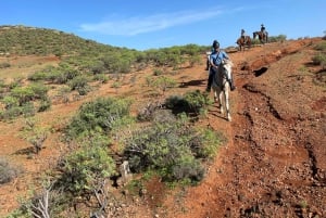 2 hours Green Mountains Horse Riding Tour