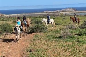 2 hours Green Mountains Horse Riding Tour