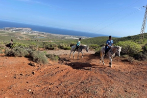 2 hours Green Mountains Horse Riding Tour