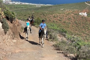 2 hours Green Mountains Horse Riding Tour