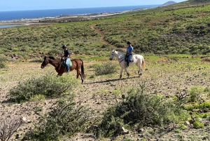 2 hours Green Mountains Horse Riding Tour