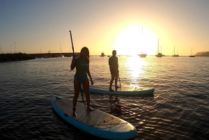 2h Sunset Paddle Board Session in Gran Canaria