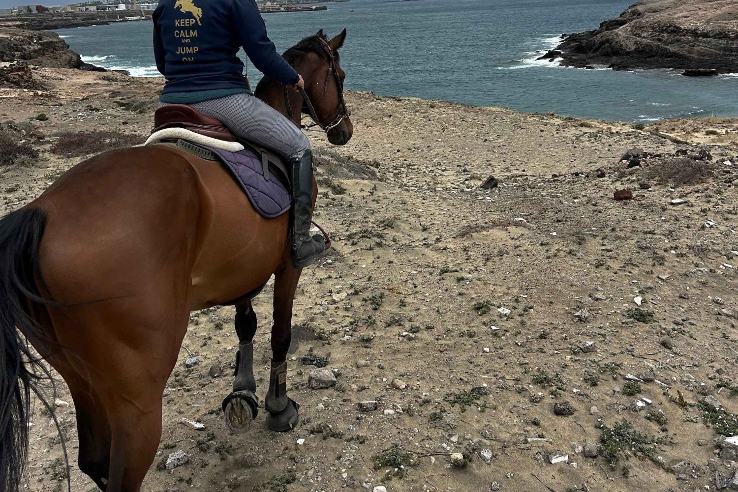 3 hours Horse Riding Tour to the Coast