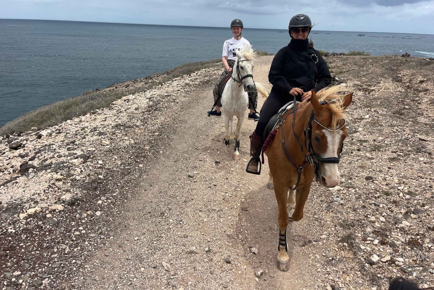 3 hours Horse Riding Tour to the Coast