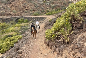 3 horas de Ruta a Caballo por la Costa
