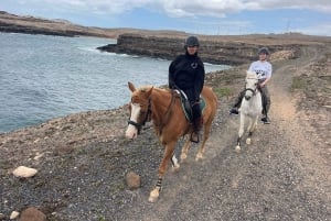 3 hours Horse Riding Tour to the Coast