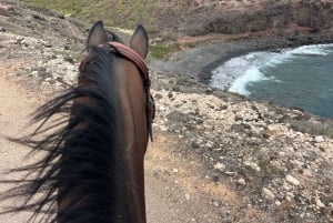 3 hours Horse Riding Tour to the Coast