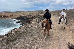 3 hours Horse Riding Tour to the Coast