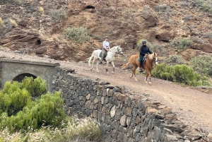 3 hours Horse Riding Tour to the Coast